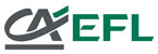 Europejski Fundusz Leasingowy SA: Leasing 
